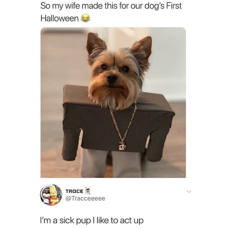 30 Exquisite Random Meme Dump That Will Leave You Crying Of Laughter 
