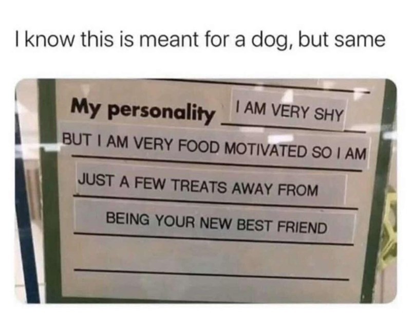 30 Terrific Memes To Laugh At During Your Free Time 
