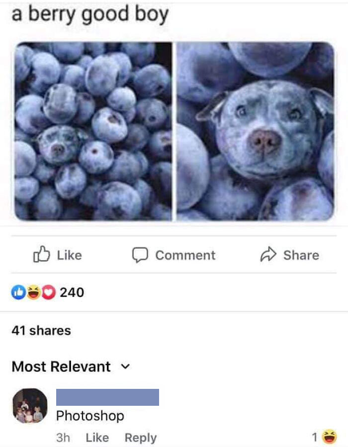 30 Hilarious Times People Missed The Joke And Embarrassed Themselves 
