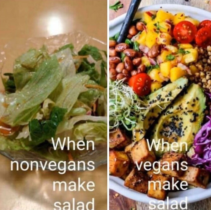 30  Hilarious Times Vegans Got Bullied On The Internet 