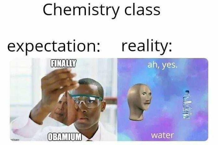 30 Of The Funniest Educational Memes All Students Will Relate  