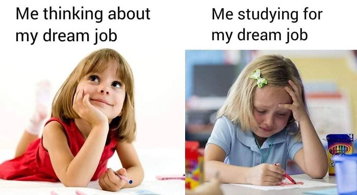 30 Of The Funniest Educational Memes All Students Will Relate  