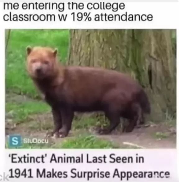 30 Of The Funniest Educational Memes All Students Will Relate  