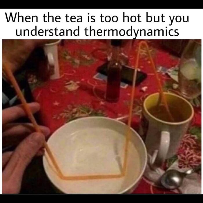30 Of The Funniest Educational Memes All Students Will Relate  