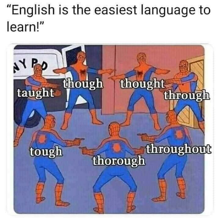 30 Of The Funniest Educational Memes All Students Will Relate  