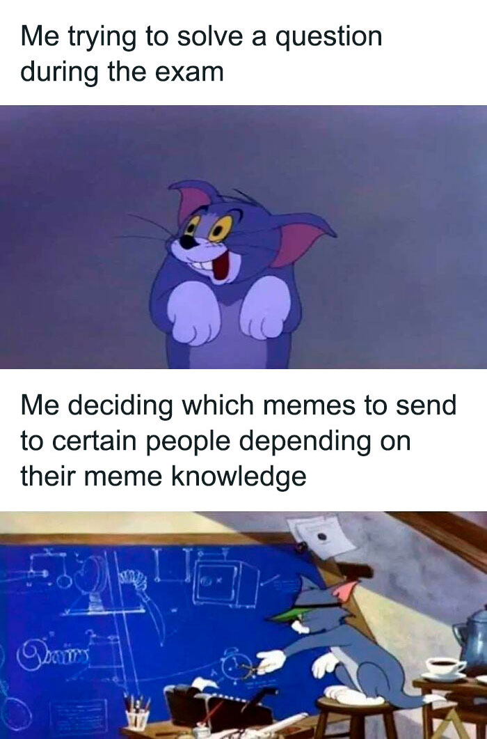 30 Of The Funniest Educational Memes All Students Will Relate  