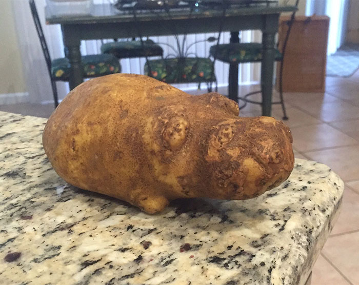 30 Extreme Times People Experienced A Serious Case Of Pareidolia I 