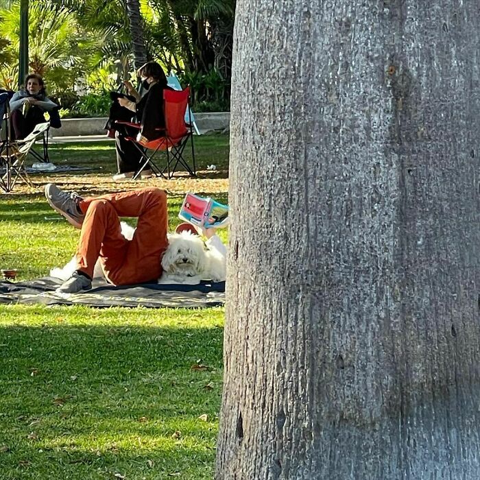 35 Funny And Adorable Dogs That Were Sneakily Photographed