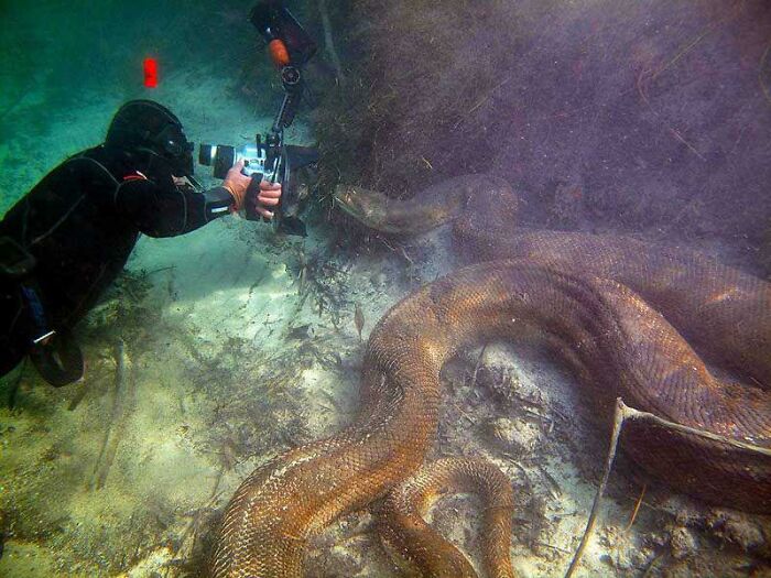 30 Extremely Terrifying Images From The Deep Sea 
