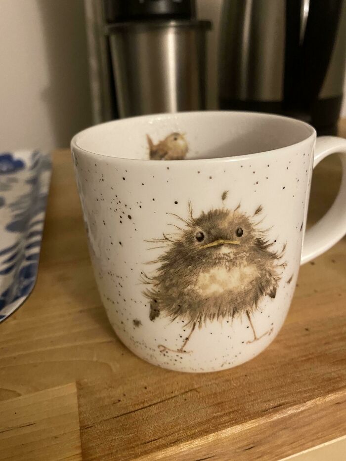 30 Extremely Cute Pictures Of Some Of The Coolest Mugs 