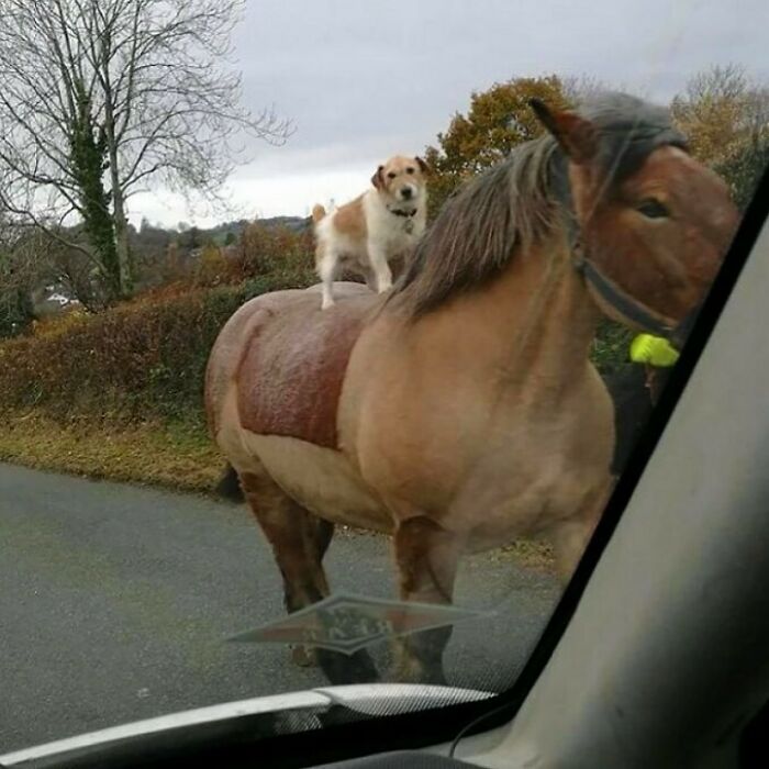 30 Of The Weirdest Images Found On Instagram 