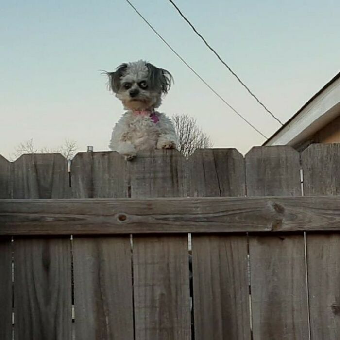 30 Of The Weirdest Images Found On Instagram 