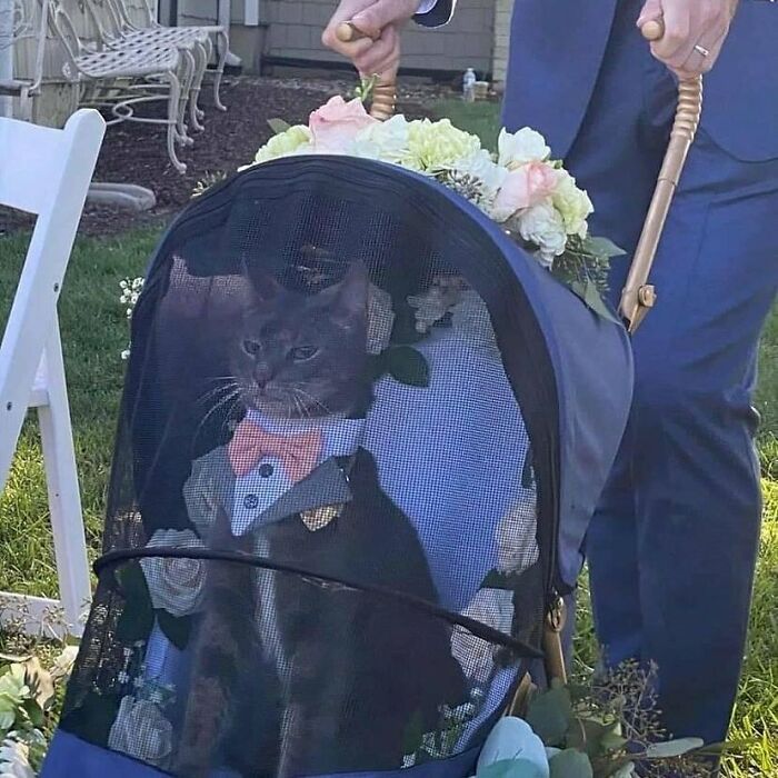  30 Hilarious And Bizarre Images Discovered On Instagram