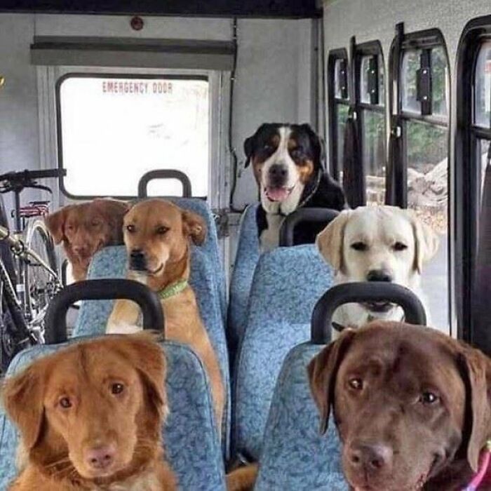 30 Of The Weirdest Images Found On Instagram 