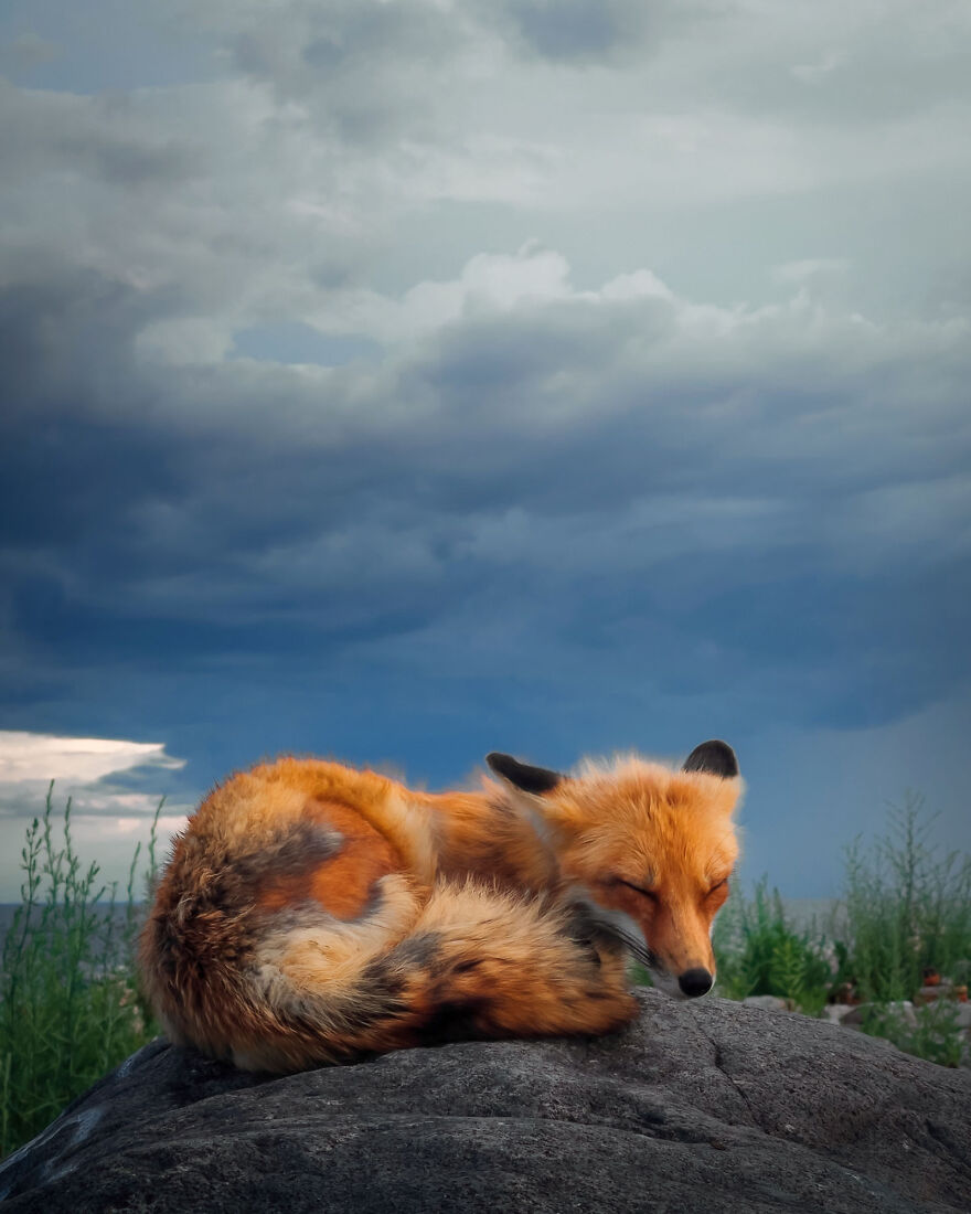 30 Unbelievable Images That Were Taken On An Iphone 