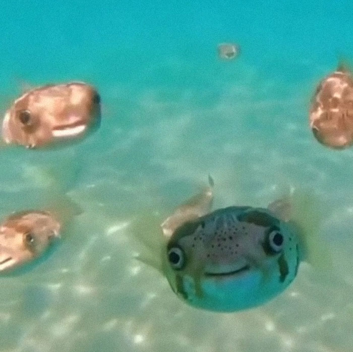 30 Extremely Terrifying Images From The Deep Sea 