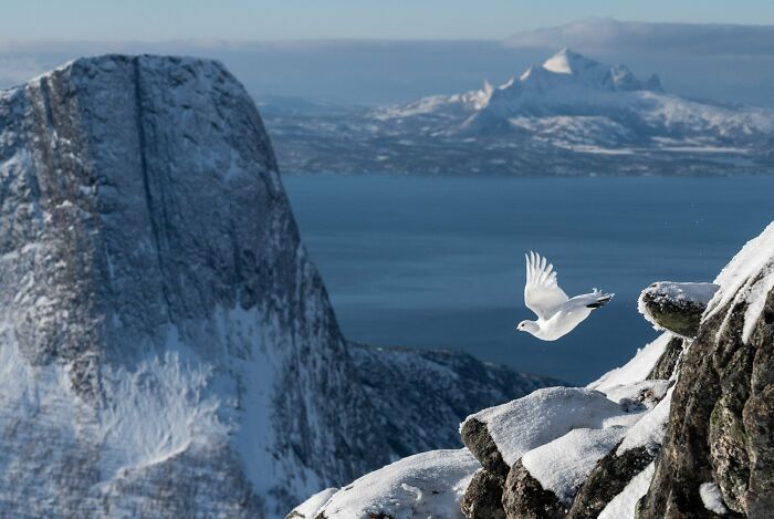 30 Amazing Photos Of The Birds You Must See 