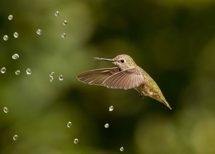 30 Amazing Photos Of The Birds You Must See 