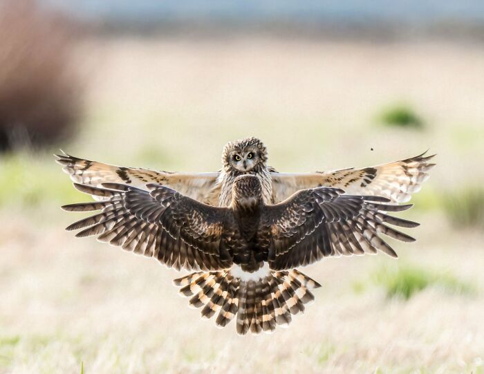 30 Amazing Photos Of The Birds You Must See 