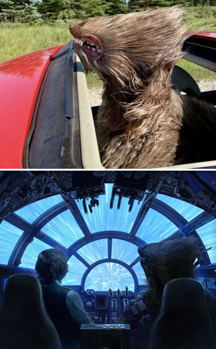 30 Perfectly Planned Photoshopped Images That Are Extremely Hilarious 