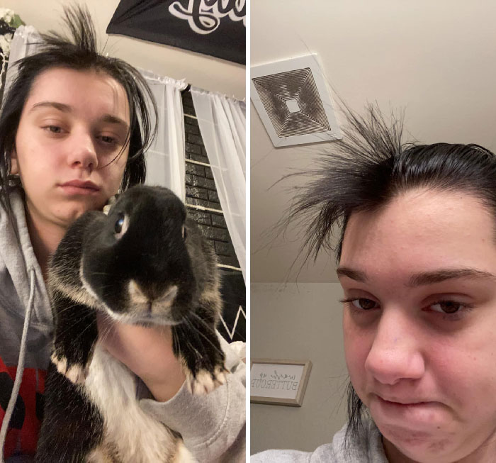 30 Shocking Times Bunnies Were More Terrifying Than Cute