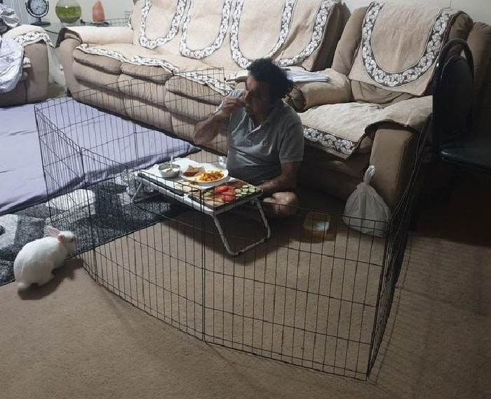 30 Shocking Times Bunnies Were More Terrifying Than Cute