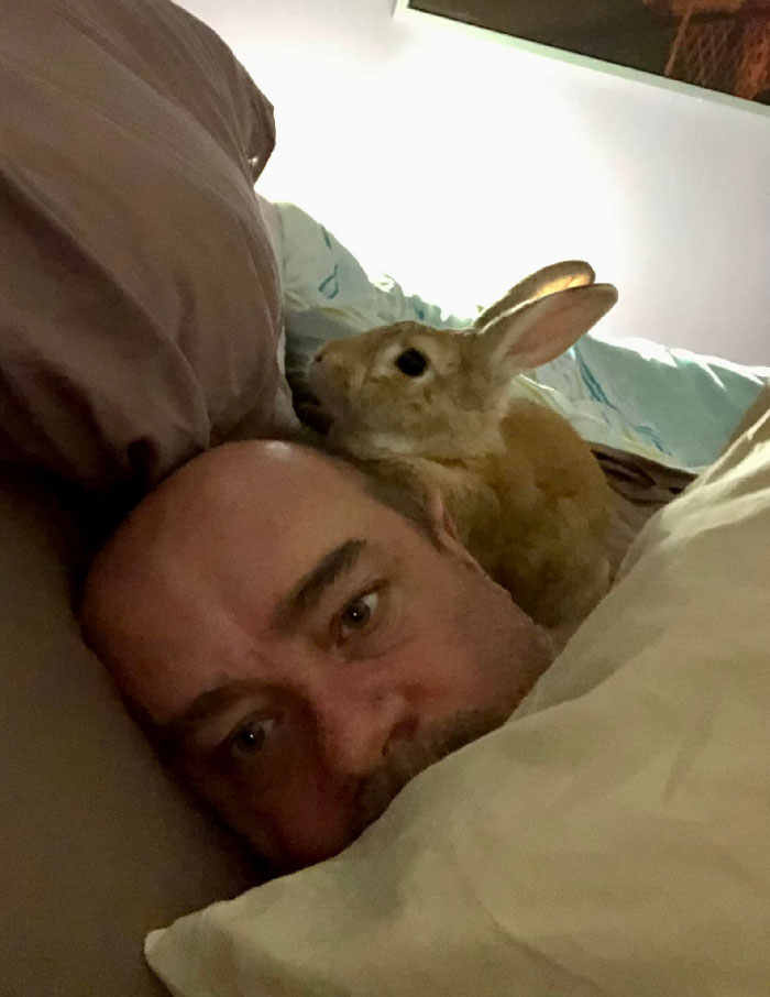 Bunnies Jerks Pics 36 634403D1E3943 700