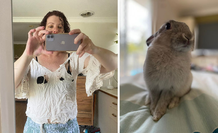Bunnies Jerks Pics 46 6344074E4256E 700
