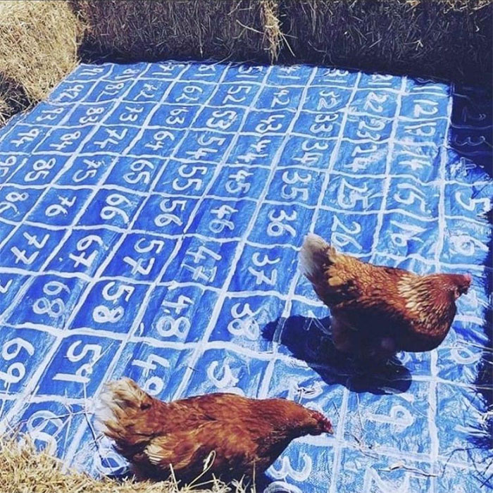 30 Epic Bird Pics That Went Horribly Wrong But Ended Up With Hilarious Results