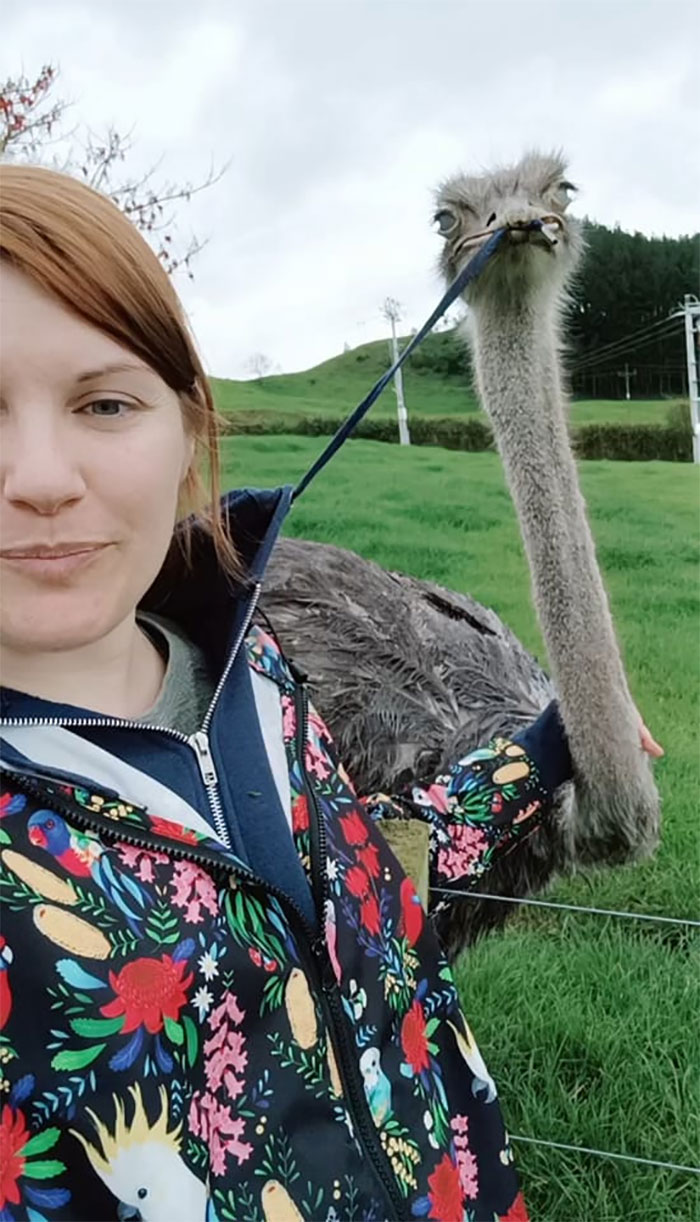30 Epic Bird Pics That Went Horribly Wrong But Ended Up With Hilarious Results