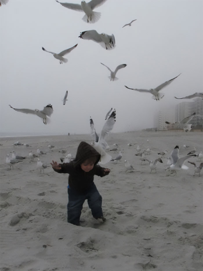 Funny Candid Bird Photography 6346Bca32Cb39 700