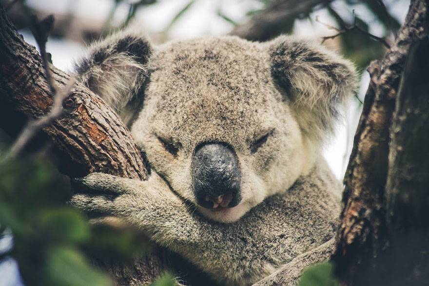 50 Photos Showcasing The Incredible Beauty Of Mother Nature 5D4930B65780A 880