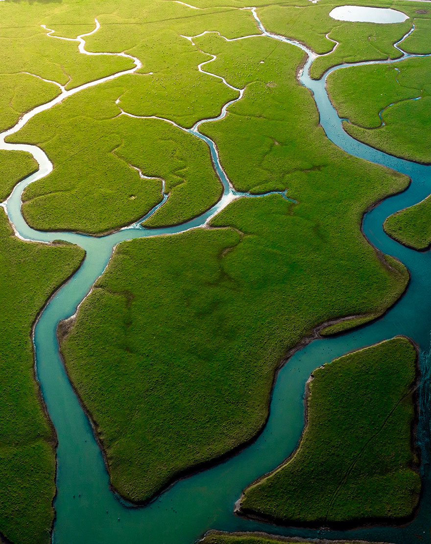 50 Photos Showcasing The Incredible Beauty Of Mother Nature 5D4930C0B961E 880