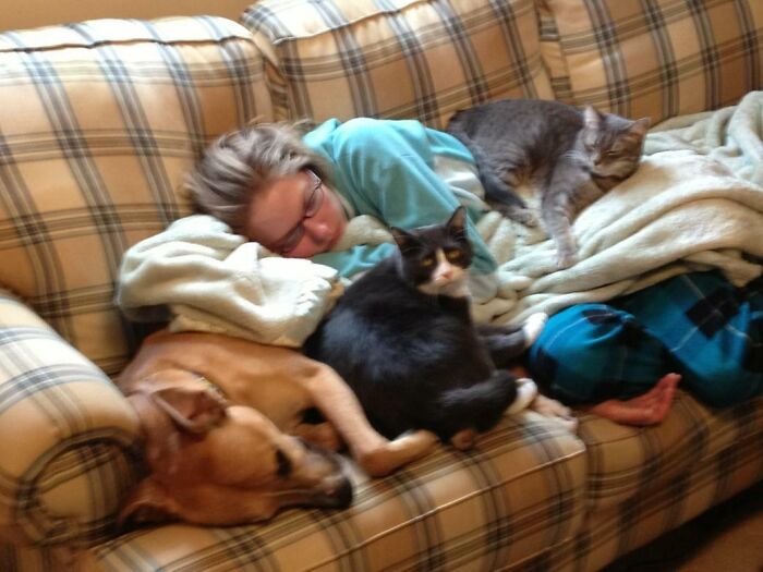 6352Af757F131 Veterinarian Job Moments