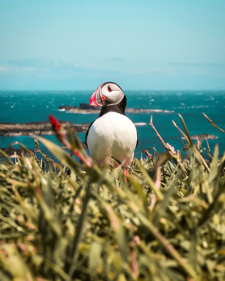 30 Absolutely Stunning Nature Shots From Great Photographers 