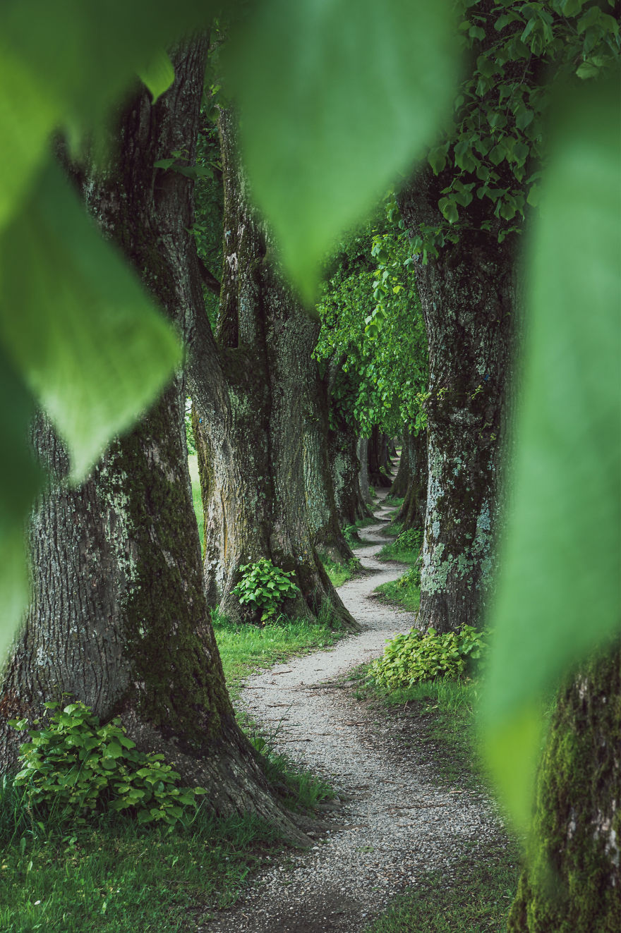 30 Absolutely Stunning Nature Shots From Great Photographers 