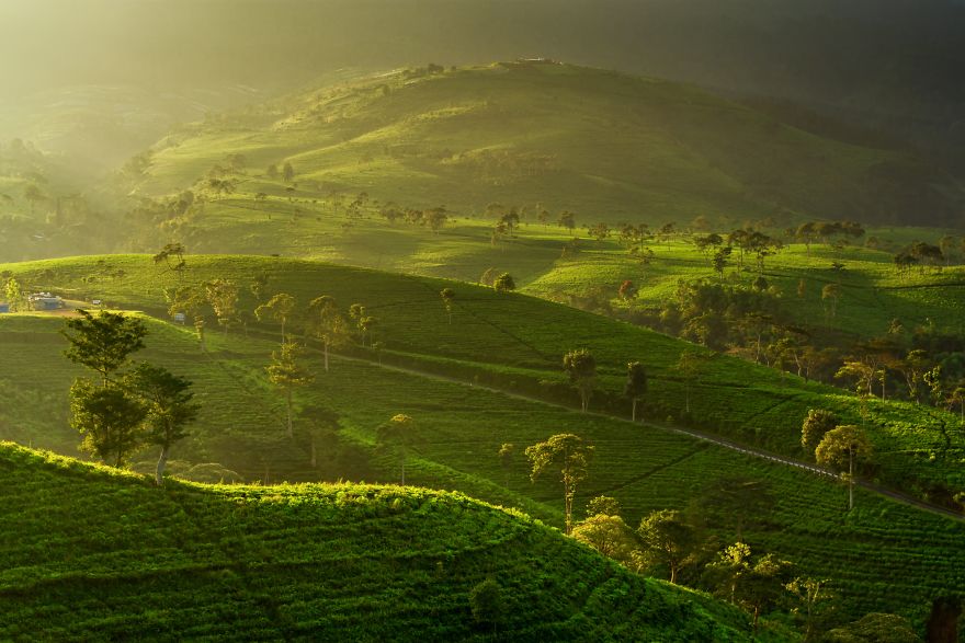 Sunrise By Gani Prastowo 5D482Ec8Aa842 880