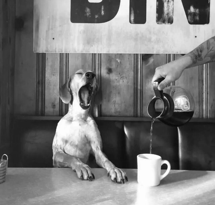 30 Amazing Chance Encounters In Public Places Caught On Camera 