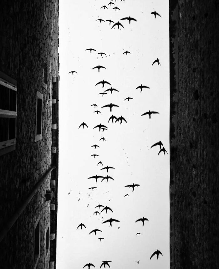 This Instagram Account Features Amusing Street Photographs And Has More Than 570 Thousand Followers 64 New Pics 6380B9355Cbb7 700