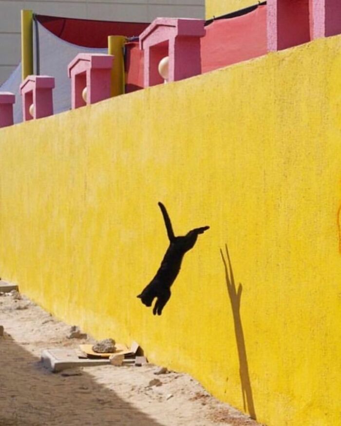 This Instagram Account Features Amusing Street Photographs And Has More Than 570 Thousand Followers 64 New Pics 6380C0A1D9E93 700