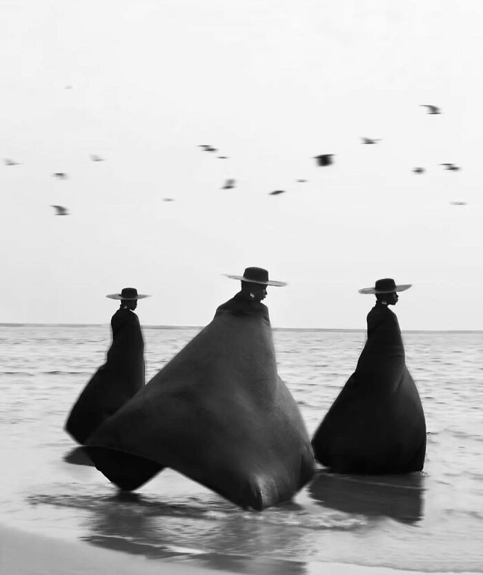 This Instagram Account Features Amusing Street Photographs And Has More Than 570 Thousand Followers 64 New Pics 6380C11E18E5A 700
