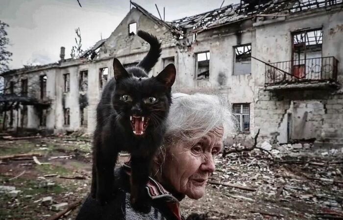 This Instagram Account Features Amusing Street Photographs And Has More Than 570 Thousand Followers 64 New Pics 6380C15Fb8B15 700