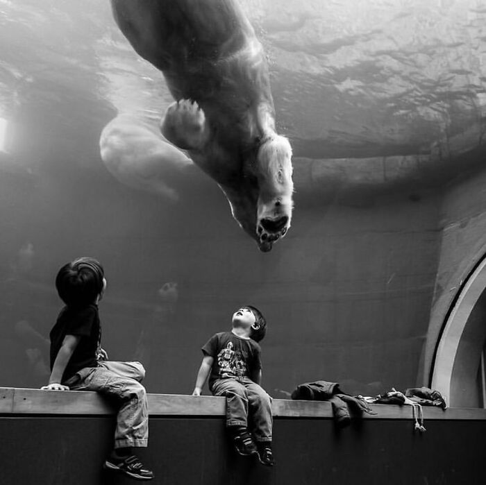 30 Amazing Chance Encounters In Public Places Caught On Camera 
