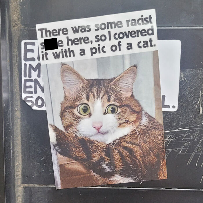 Funny Mild Vandalism 1 637791Eb5Cc58 700