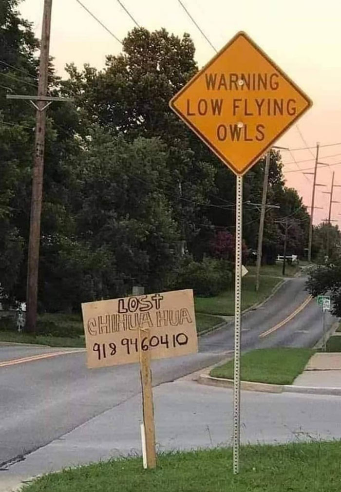 30 Of The Strangest LaughInducing Signs Spotted In Public