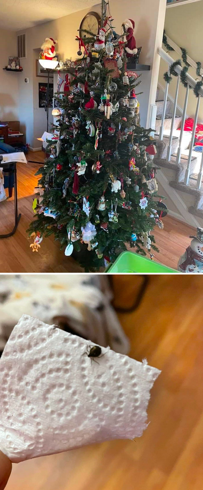Funny Christmas Bad Day Fails Accidents 23 6396E027Eb7D1 700