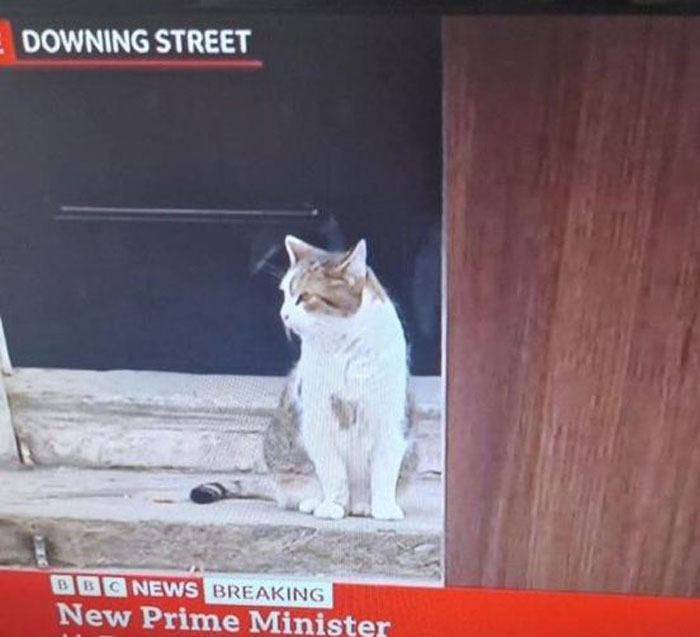 30 Hilarious Pics Of British People Going About Their Day 