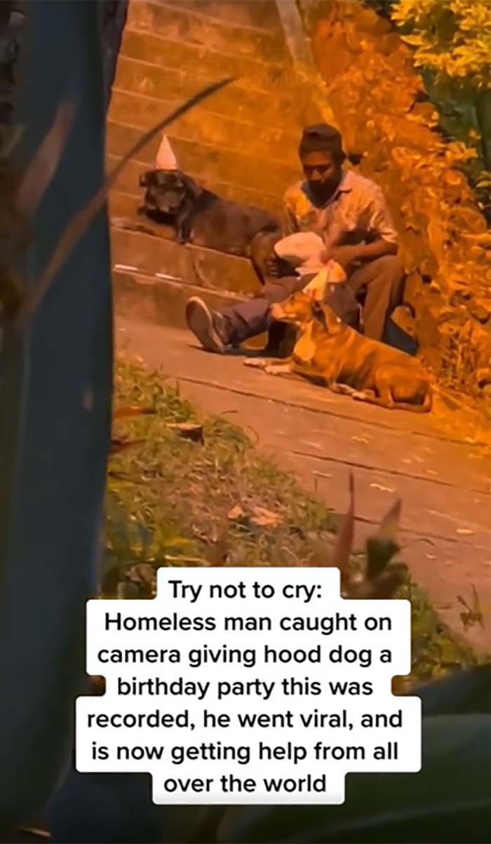  30 Heartwarming Moments of People Meeting Wholesome Dogs
