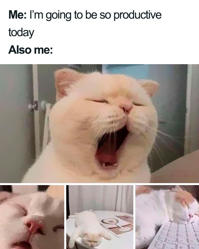 30 Painfully Relatable And Funny Memes About Mental Health