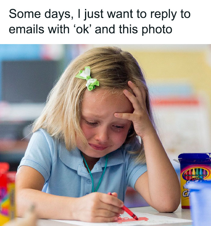 Mentally Not So Well Memes 45464 63Dbd3E765Ca2 700